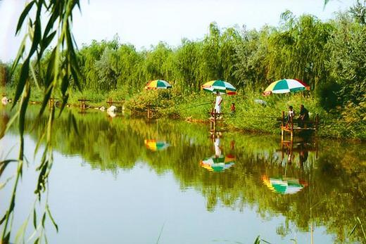鸣翠湖国家湿地公园,中国最美湿地公园,休闲旅游的好去处
